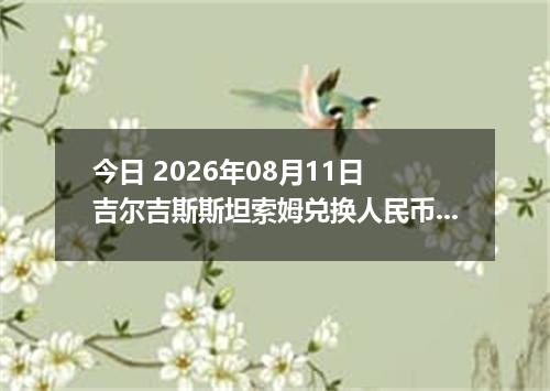 今日 2026年08月11日 吉尔吉斯斯坦索姆兑换人民币最新汇率行情