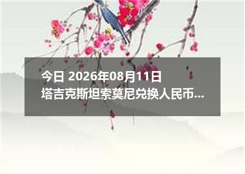 今日 2026年08月11日 塔吉克斯坦索莫尼兑换人民币最新汇率行情