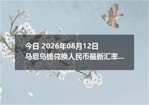 今日 2026年08月12日 马恩岛镑兑换人民币最新汇率行情